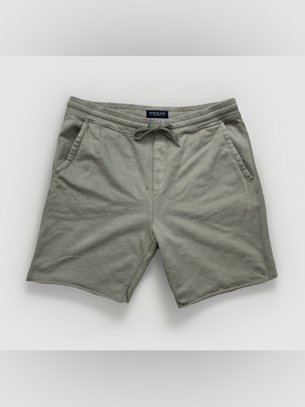 American Eagle Outfitters Men's Olive Drawstring Casual Shorts